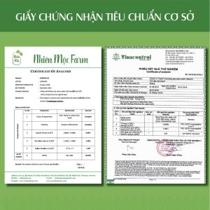 Tiêu chuẩn cơ sở