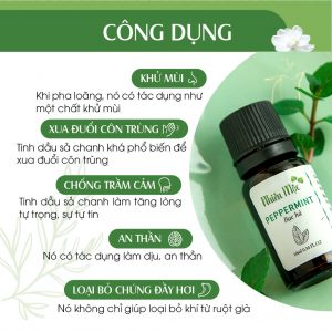 Công dụng của tinh dầu